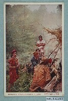 藏品(布農族丹社群的露營)的圖片