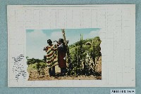 藏品(吹奏口簧琴的泰雅族姑娘)的圖片