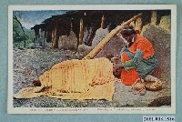 藏品(紋面中的臺灣泰雅族婦人與少女)的圖片