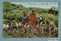 藏品(屈尺泰雅族男女)的圖片