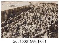 藏品(臺中市香蕉市場)的圖片