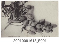 藏品(塞班島二關物產店發行南洋芒果)的圖片