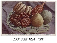 藏品(赤岡兄弟商會發行香蕉木瓜文旦密柑龍眼等水果)的圖片