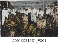 藏品(臺北生蕃屋本店印行臺中香蕉運輸)的圖片