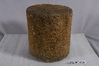 藏品(柱珠)的圖片