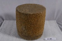 藏品(柱珠)的圖片