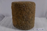 藏品(柱珠)的圖片