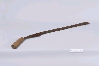 藏品(手鋸)的圖片