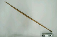 藏品(竹弓)的圖片