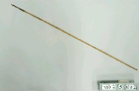 藏品(竹箭)的圖片