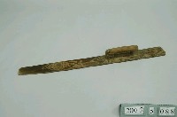 藏品(抹刀)的圖片