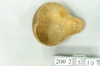 藏品(葫蘆瓢)的圖片