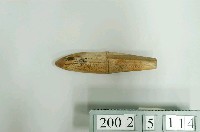 藏品(竹鏟)的圖片