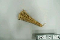 藏品(竹製鼎刷)的圖片