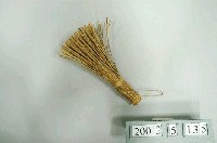 藏品(竹製鼎刷)的圖片