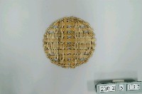 藏品(蒸片)的圖片