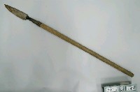 藏品(標槍)的圖片