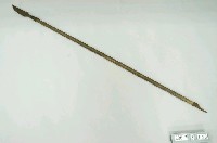 藏品(標槍)的圖片