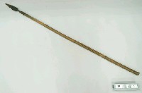 藏品(標槍)的圖片