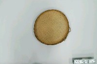 藏品(小撥箕)的圖片