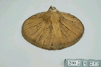 藏品(大斗笠)的圖片