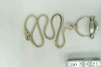 藏品(牛鼻栓)的圖片