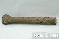 藏品(竹製鰻魚捕捉器)的圖片