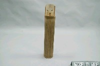 藏品(竹筒水壺)的圖片