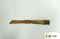 藏品(香蕉刀)的圖片