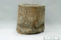 藏品(直桶式大型木臼)的圖片