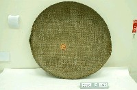 藏品(巨大撥箕)的圖片