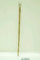 藏品(鳥仔踏)的圖片