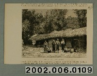 藏品(巴索特繪〈平埔族住屋〉)的圖片