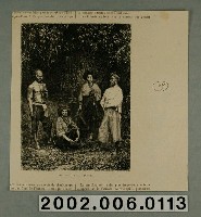 藏品(菲力特繪〈平埔番〉及〈年輕的平埔番女孩〉)的圖片