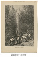 藏品(1890年4月19日《倫敦新聞畫報》之〈福爾摩沙的竹林〉)的圖片