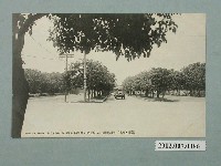 藏品(臺灣臺北區劃整齊三線道路)的圖片