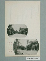 藏品(臺北植物園表町街道)的圖片