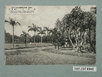 藏品(臺北植物園)的圖片