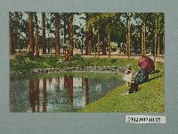 藏品(臺北生蕃屋本店印行臺北植物園)的圖片