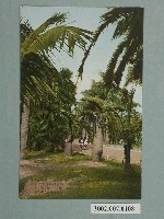 藏品(臺北生蕃屋本店印行臺北植物園)的圖片