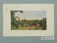 藏品(臺北新高堂發行臺北苗圃)的圖片