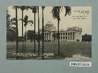 藏品(越過檳榔樹林一望博物館威容)的圖片