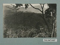 藏品(臺灣關子嶺)的圖片