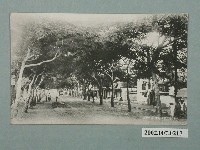 藏品(臺南市街)的圖片