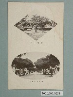 藏品(臺南公園臺南市街)的圖片