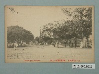 藏品(臺灣臺南公園)的圖片