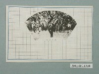 藏品(臺灣水果芒果)的圖片