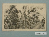 藏品(臺灣青果物同業組合臺中香蕉園)的圖片