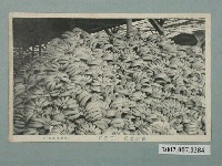 藏品(棚邊書店發行臺灣芭蕉)的圖片