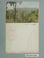 藏品(新高山)的圖片